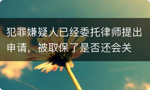 犯罪嫌疑人已经委托律师提出申请，被取保了是否还会关