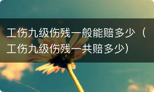 工伤九级伤残一般能赔多少（工伤九级伤残一共赔多少）