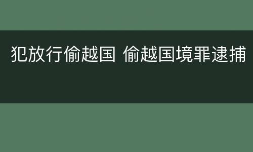 犯放行偷越国 偷越国境罪逮捕