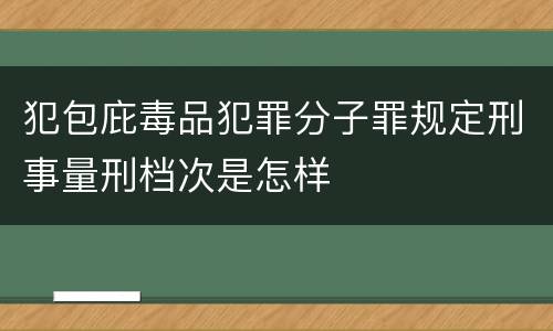 犯包庇毒品犯罪分子罪规定刑事量刑档次是怎样