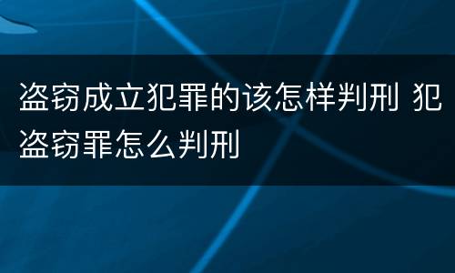 盗窃成立犯罪的该怎样判刑 犯盗窃罪怎么判刑