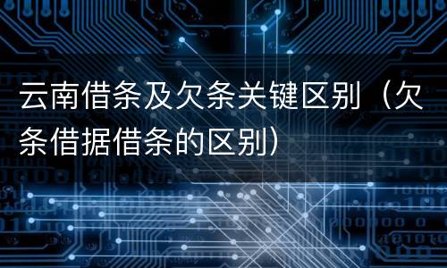 云南借条及欠条关键区别（欠条借据借条的区别）