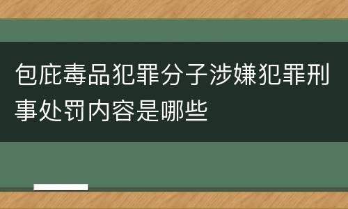 包庇毒品犯罪分子涉嫌犯罪刑事处罚内容是哪些
