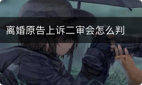 离婚原告上诉二审会怎么判