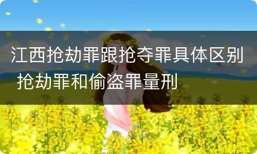 江西抢劫罪跟抢夺罪具体区别 抢劫罪和偷盗罪量刑