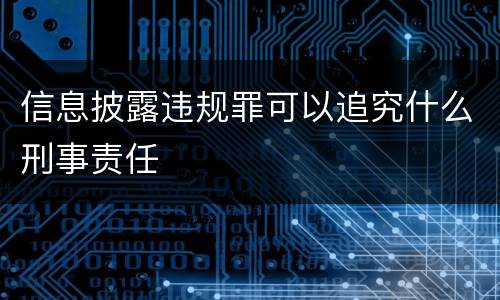 信息披露违规罪可以追究什么刑事责任
