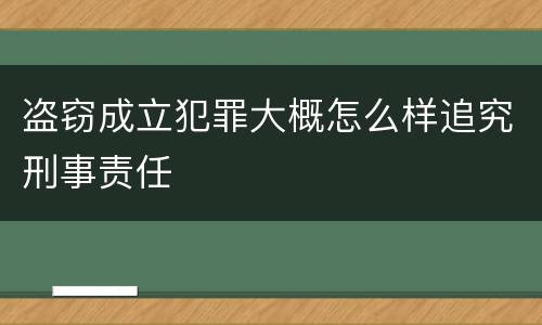盗窃成立犯罪大概怎么样追究刑事责任