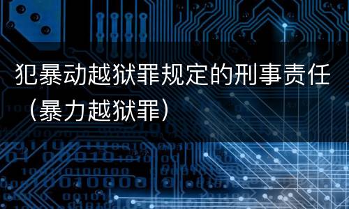 犯暴动越狱罪规定的刑事责任（暴力越狱罪）