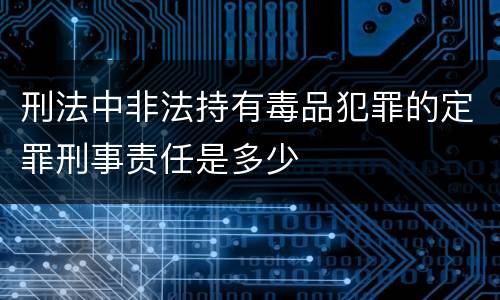 刑法中非法持有毒品犯罪的定罪刑事责任是多少