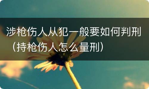 涉枪伤人从犯一般要如何判刑（持枪伤人怎么量刑）