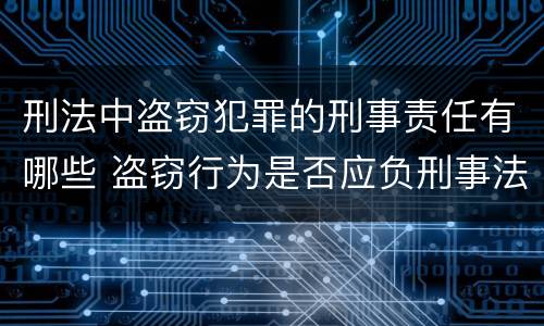 刑法中盗窃犯罪的刑事责任有哪些 盗窃行为是否应负刑事法律责任