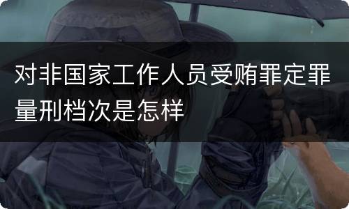 对非国家工作人员受贿罪定罪量刑档次是怎样