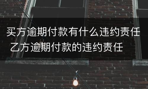 买方逾期付款有什么违约责任 乙方逾期付款的违约责任