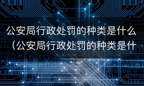 公安局行政处罚的种类是什么（公安局行政处罚的种类是什么意思）