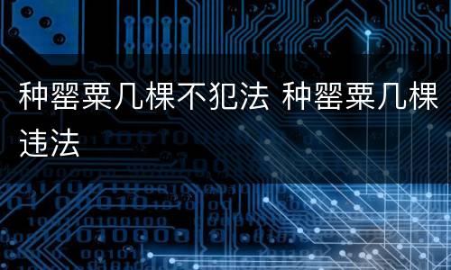 种罂粟几棵不犯法 种罂粟几棵违法