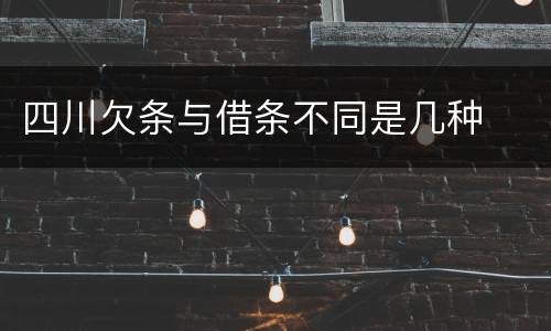 四川欠条与借条不同是几种