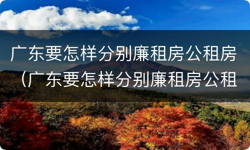广东要怎样分别廉租房公租房（广东要怎样分别廉租房公租房呢）