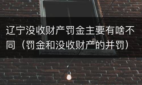 辽宁没收财产罚金主要有啥不同（罚金和没收财产的并罚）