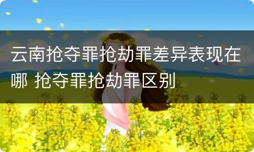 云南抢夺罪抢劫罪差异表现在哪 抢夺罪抢劫罪区别