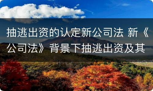 抽逃出资的认定新公司法 新《公司法》背景下抽逃出资及其法律责任