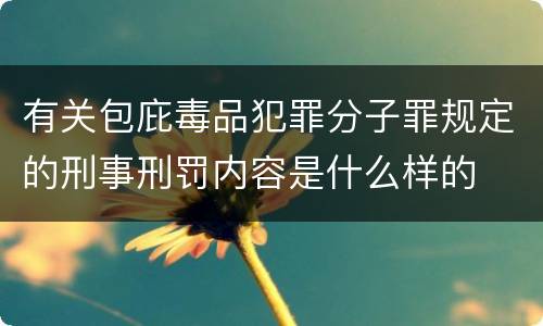 有关包庇毒品犯罪分子罪规定的刑事刑罚内容是什么样的