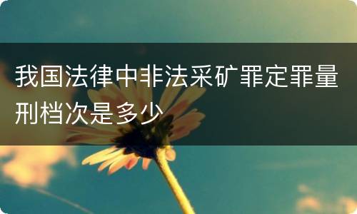 我国法律中非法采矿罪定罪量刑档次是多少