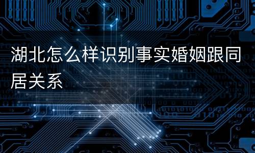湖北怎么样识别事实婚姻跟同居关系