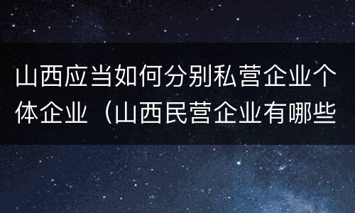 山西应当如何分别私营企业个体企业（山西民营企业有哪些）