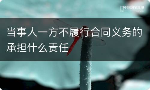 当事人一方不履行合同义务的承担什么责任