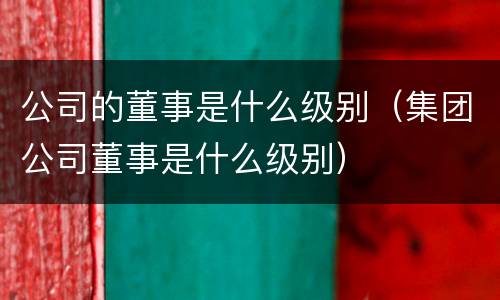 公司的董事是什么级别（集团公司董事是什么级别）