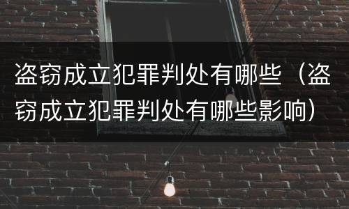 盗窃成立犯罪判处有哪些（盗窃成立犯罪判处有哪些影响）