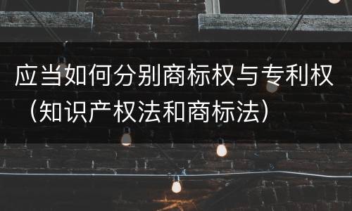 应当如何分别商标权与专利权（知识产权法和商标法）