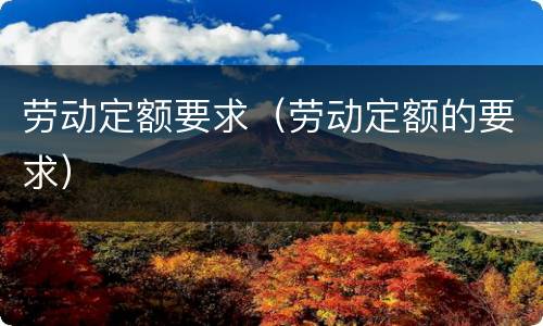 劳动定额要求（劳动定额的要求）