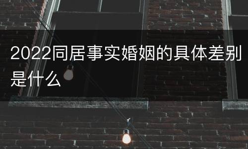 2022同居事实婚姻的具体差别是什么