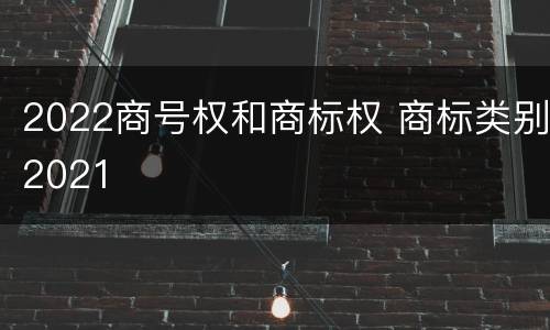 2022商号权和商标权 商标类别2021