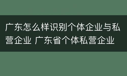 广东怎么样识别个体企业与私营企业 广东省个体私营企业
