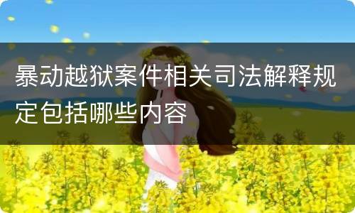 暴动越狱案件相关司法解释规定包括哪些内容