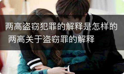 两高盗窃犯罪的解释是怎样的 两高关于盗窃罪的解释
