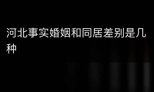 河北事实婚姻和同居差别是几种