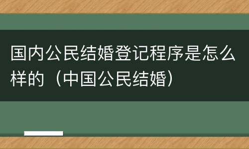国内公民结婚登记程序是怎么样的（中国公民结婚）