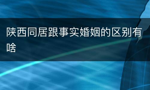 陕西同居跟事实婚姻的区别有啥