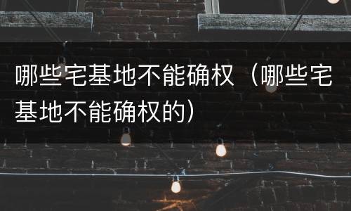 哪些宅基地不能确权（哪些宅基地不能确权的）