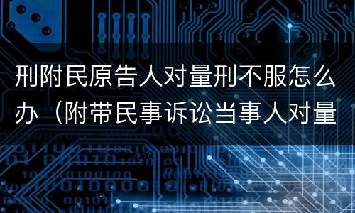 刑附民原告人对量刑不服怎么办（附带民事诉讼当事人对量刑不服）