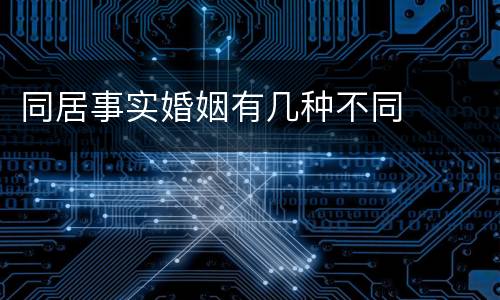 同居事实婚姻有几种不同