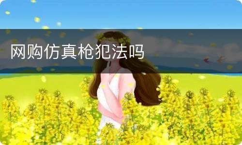 网购仿真枪犯法吗