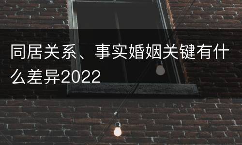 同居关系、事实婚姻关键有什么差异2022