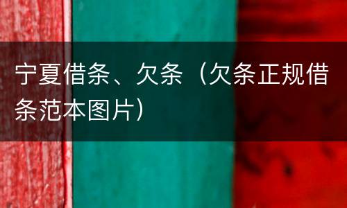 宁夏借条、欠条（欠条正规借条范本图片）