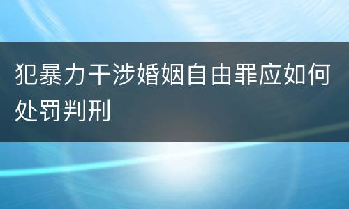 犯暴力干涉婚姻自由罪应如何处罚判刑