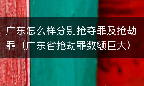 广东怎么样分别抢夺罪及抢劫罪（广东省抢劫罪数额巨大）