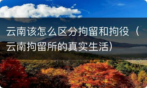 云南该怎么区分拘留和拘役（云南拘留所的真实生活）